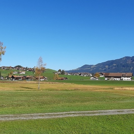 Hundetreffen 2019 im Allgäu (1)